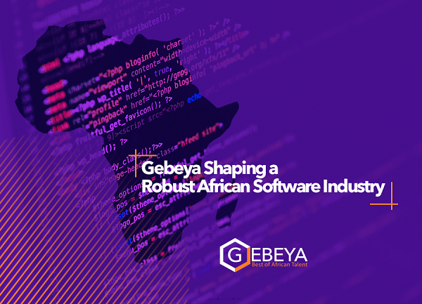 African Software Industry