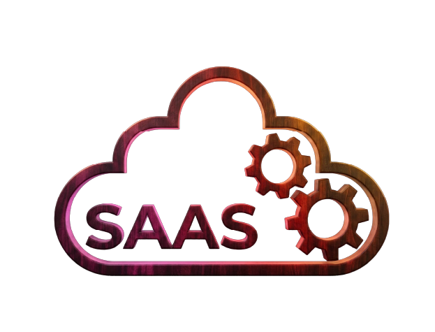 Illustration: The Evolution — SaaS and specialized tools